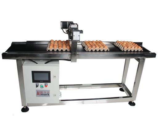 E5 400W X Traverse System Egg Coding Conveyor Machine для кодирования даты